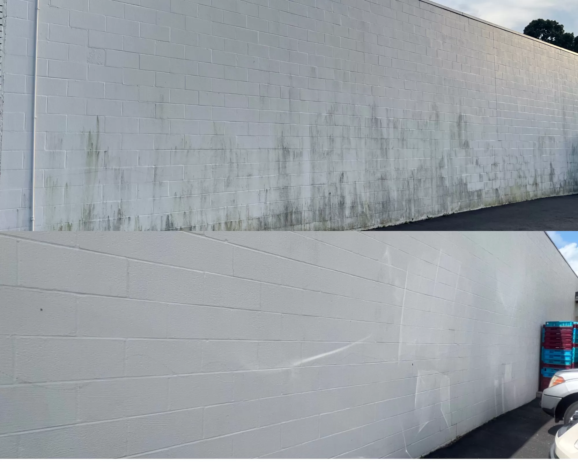 Grocery Store Cleaning in White Bluff, TN